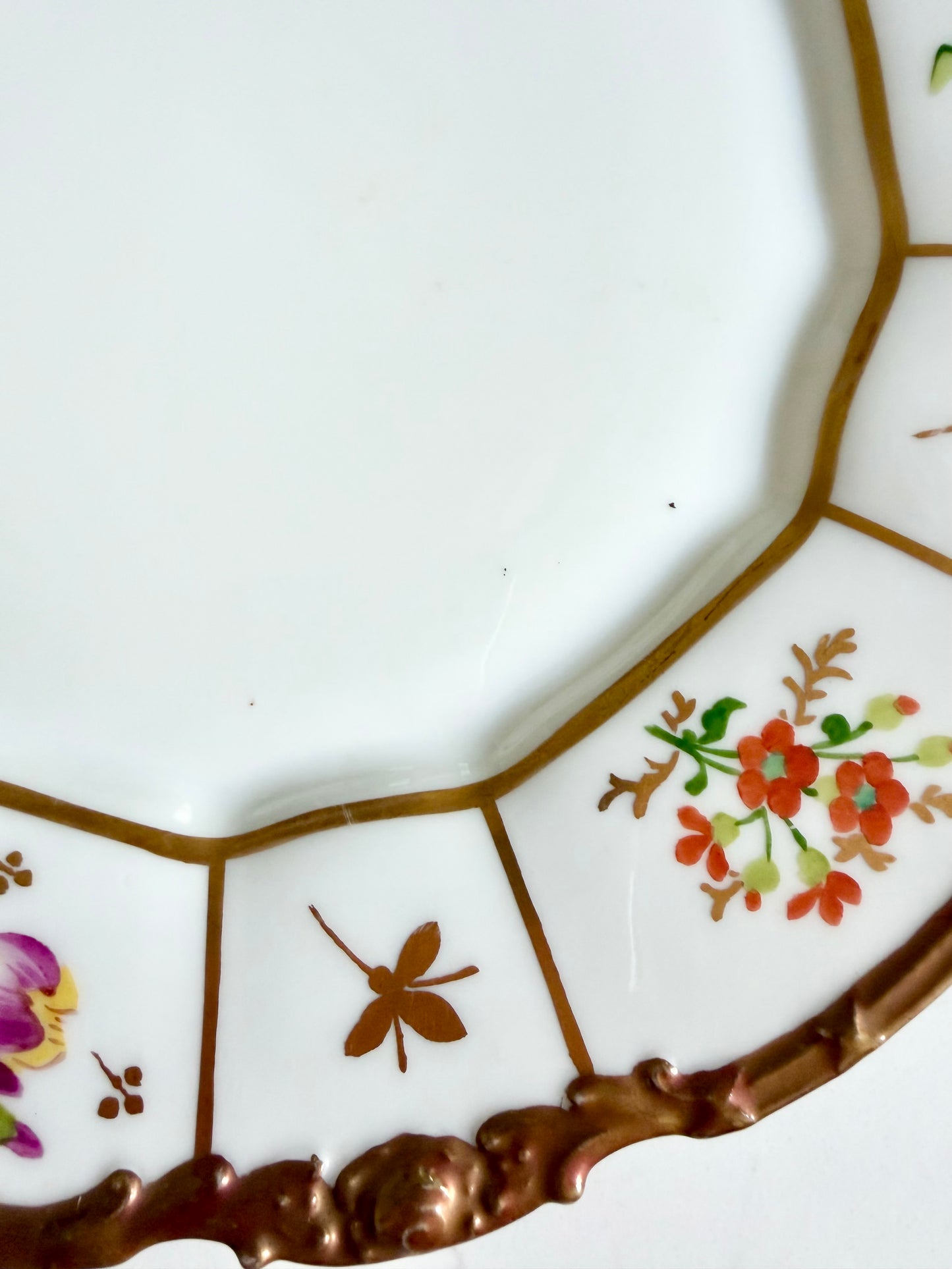 1909 hand painted Limoges botanical plate