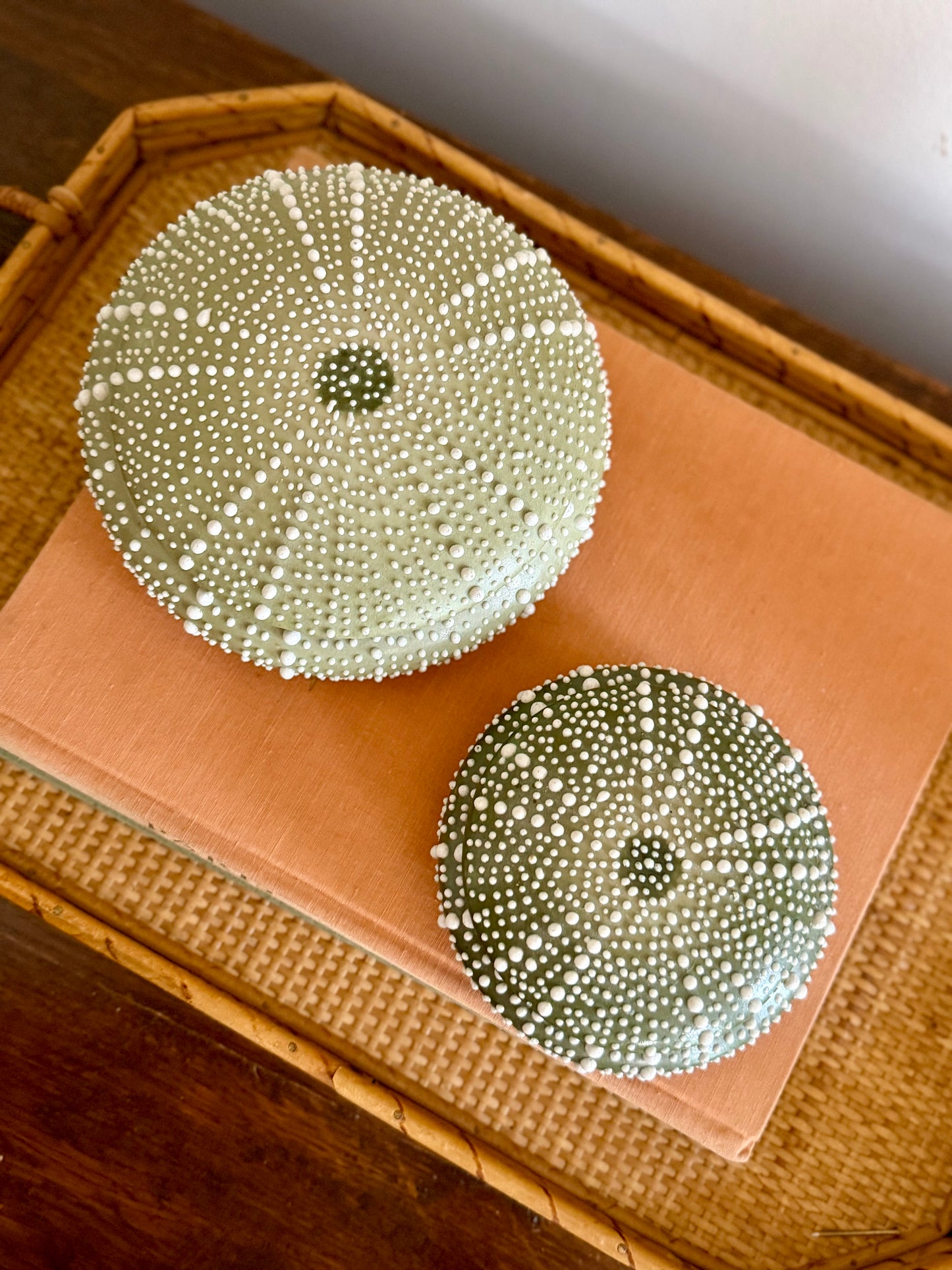 light green ceramic sea urchin lidded box