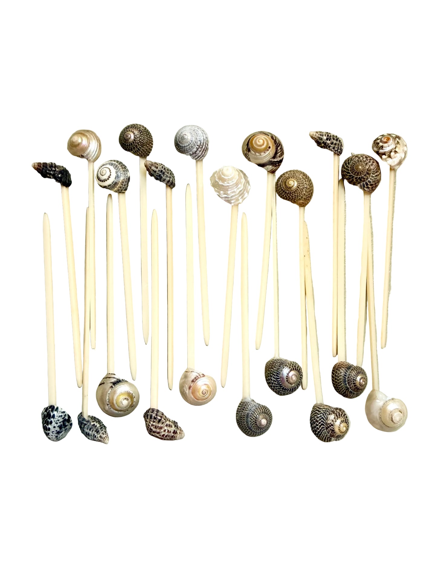 coastal seashell cocktail and appetizer picks