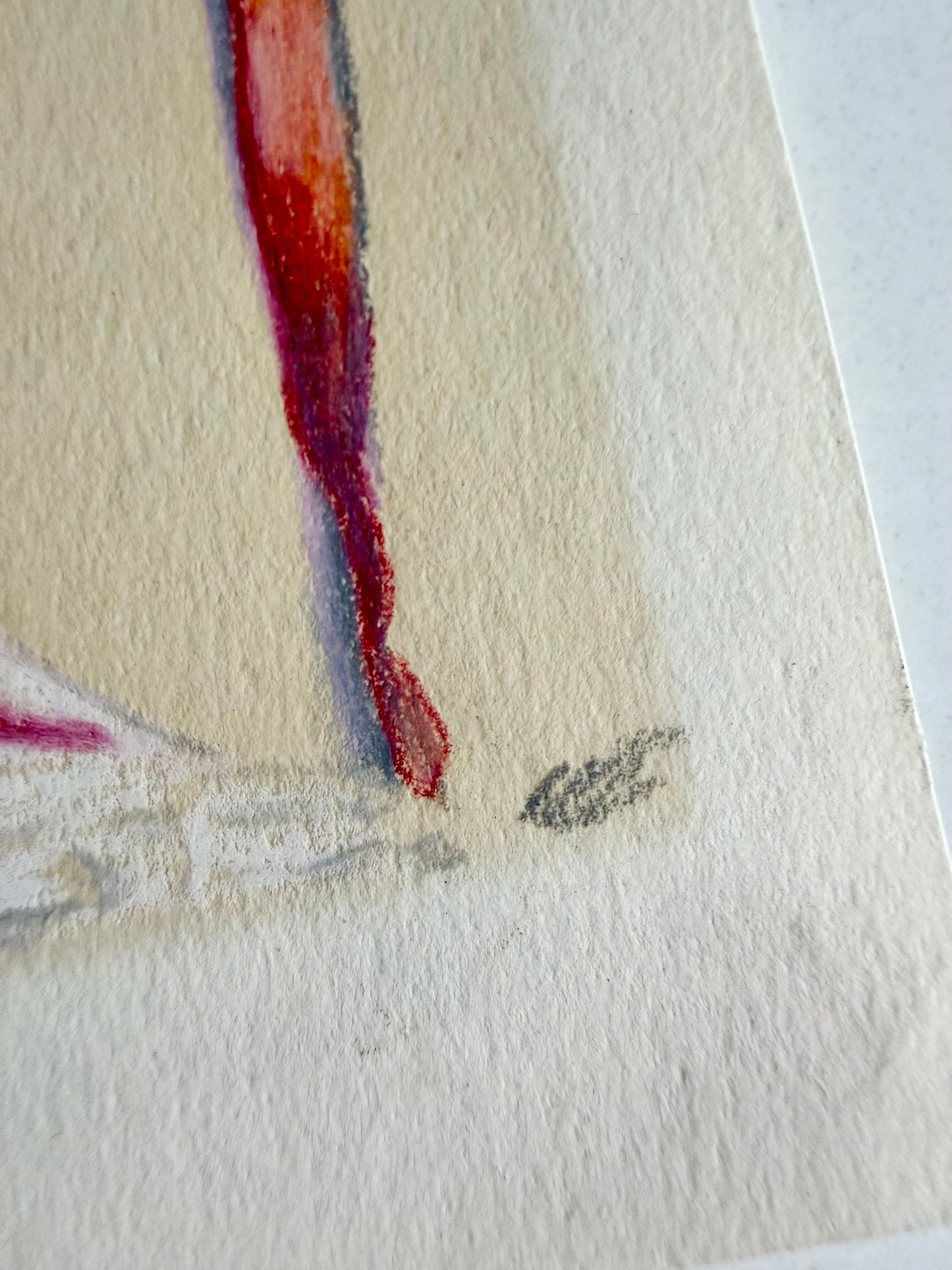 Ribbons drawing by Patricia Whitty