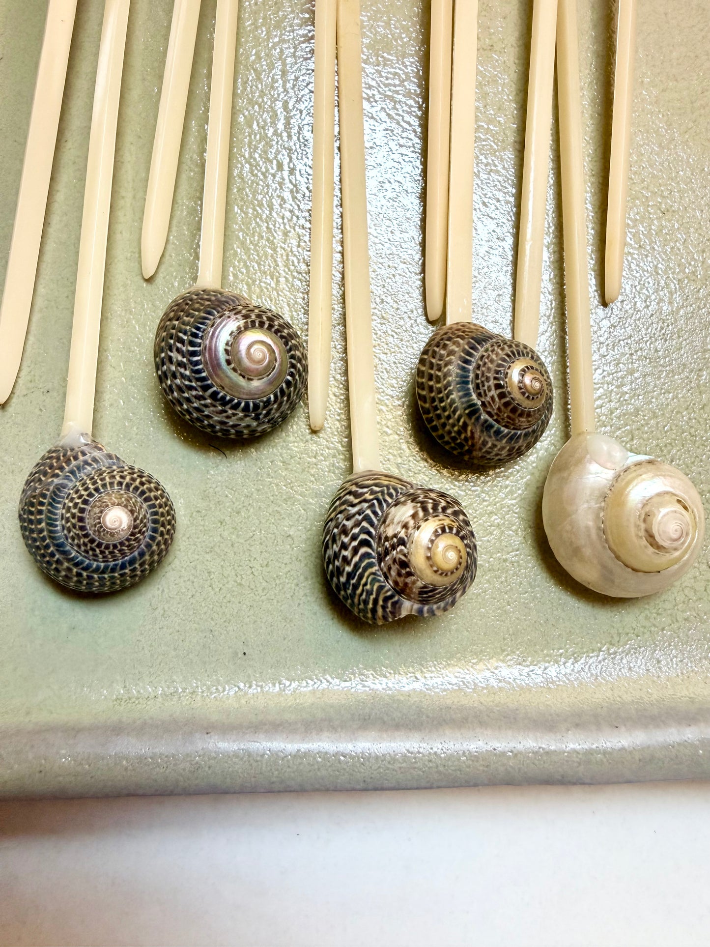 coastal seashell cocktail and appetizer picks
