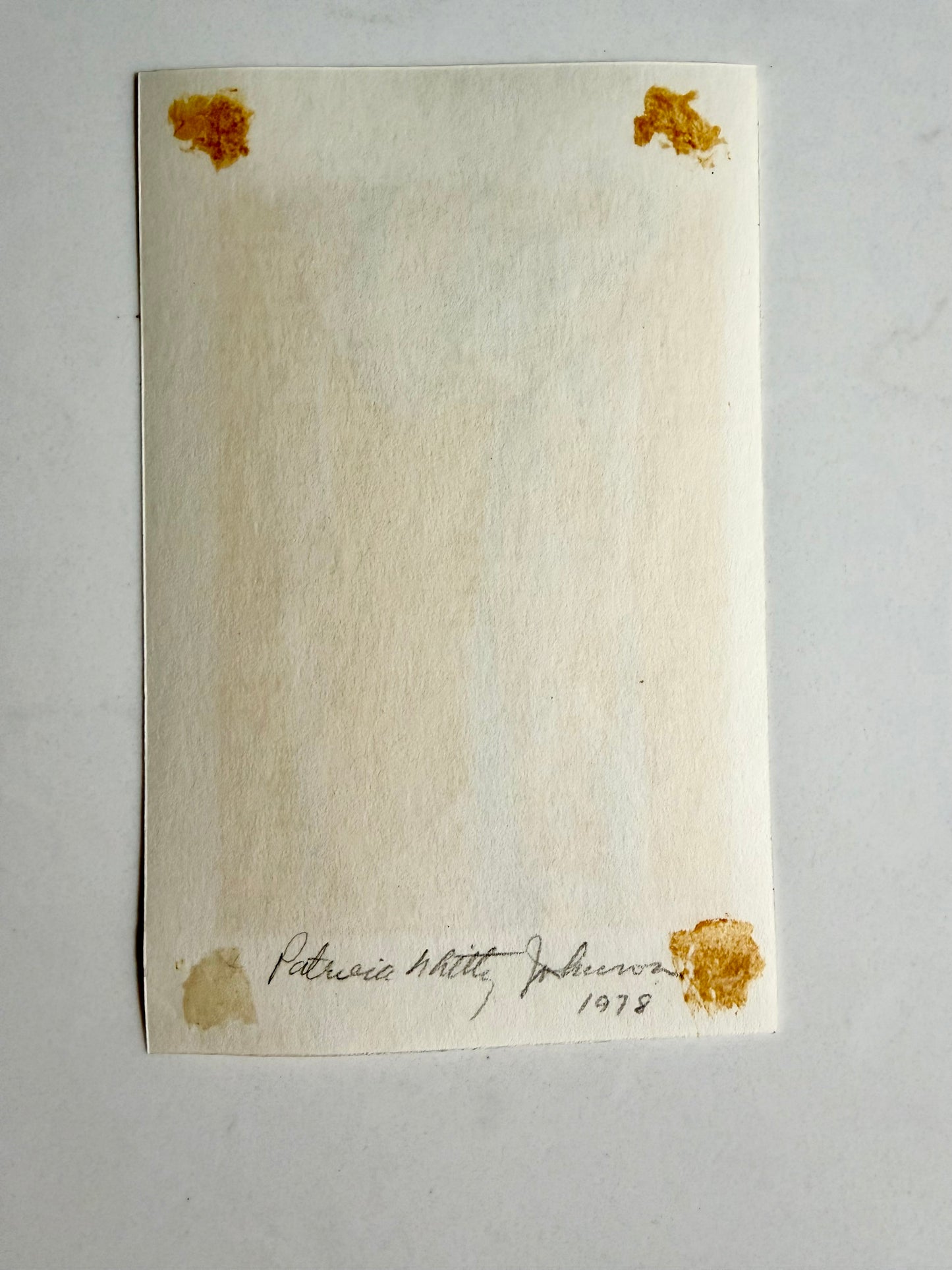 Ribbons drawing by Patricia Whitty
