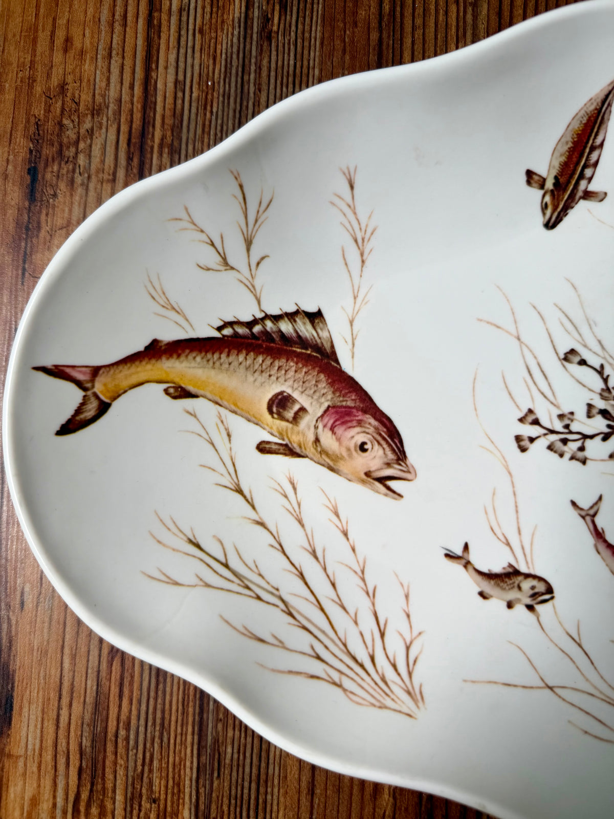 Waverly Montage of the Sea melamine fish platter