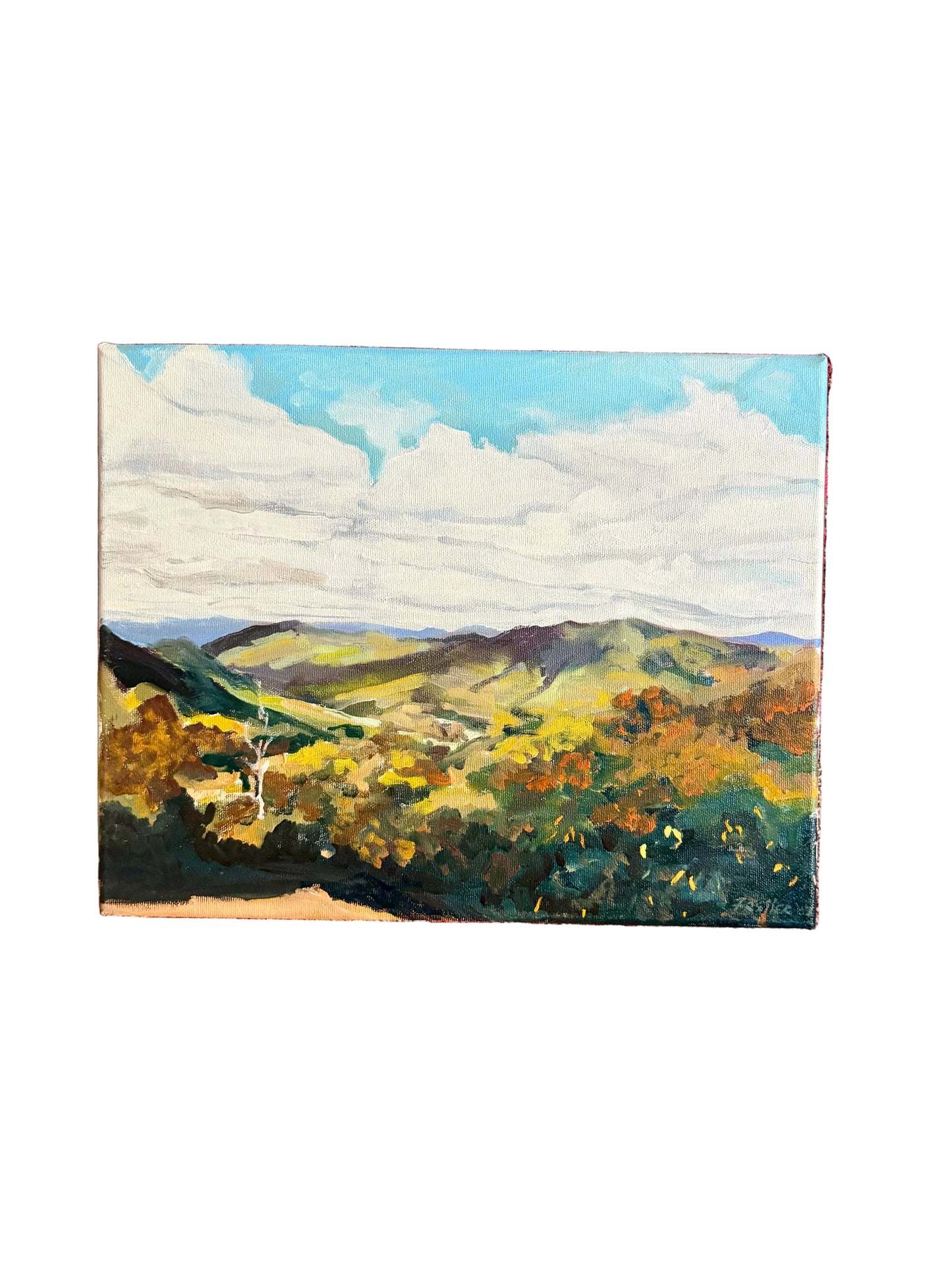 mountain landscape painting