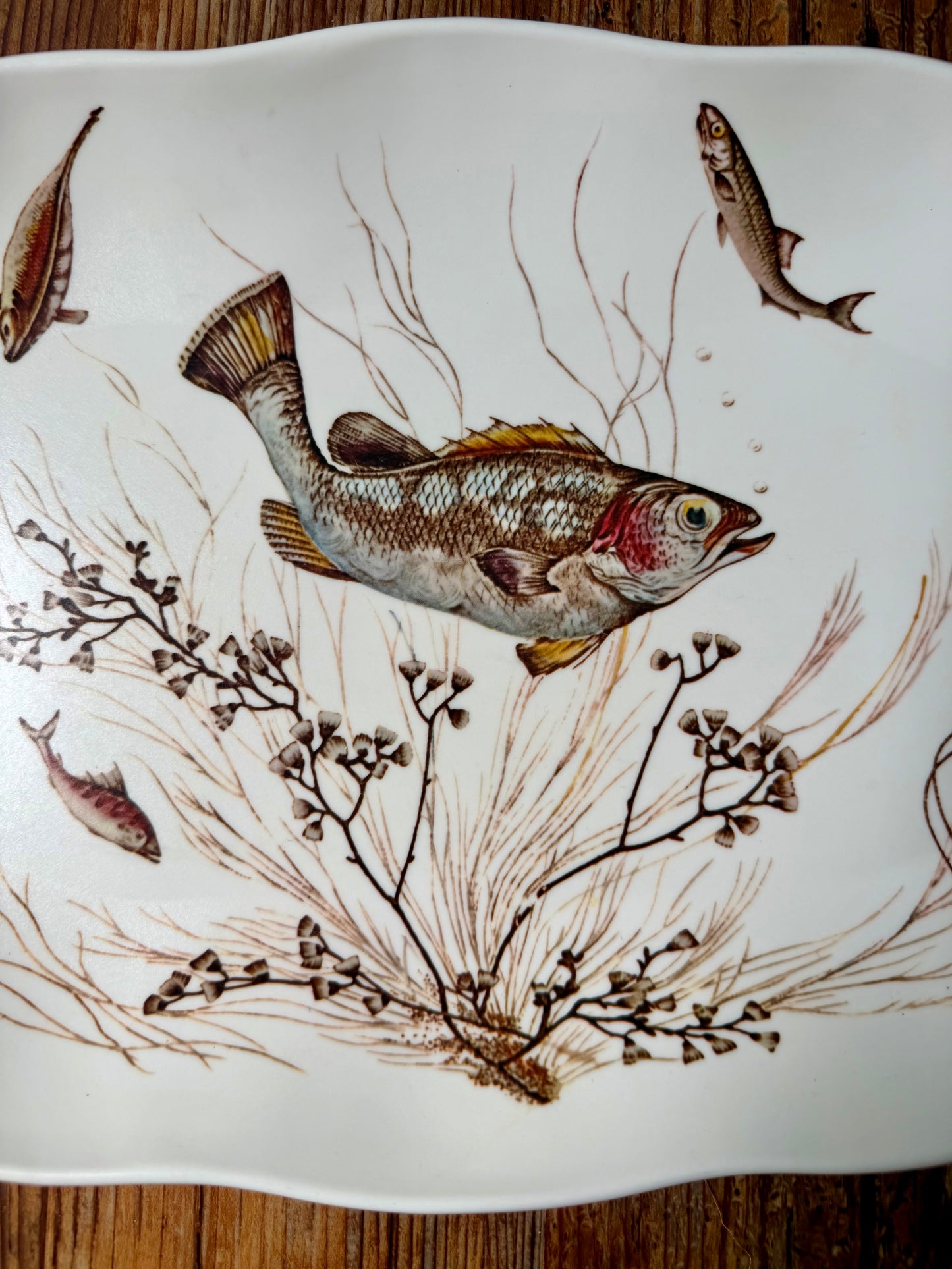 Waverly Montage of the Sea melamine fish platter