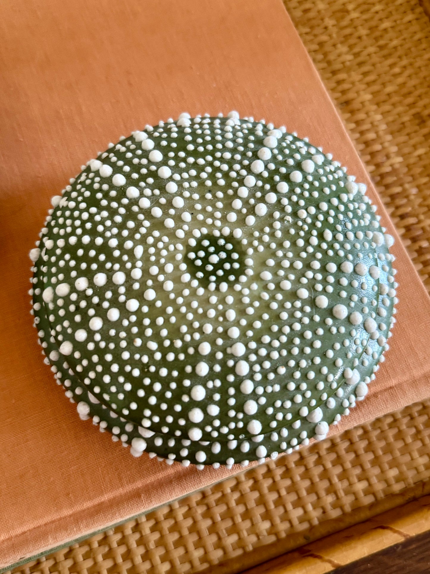 dark green ceramic sea urchin lidded box