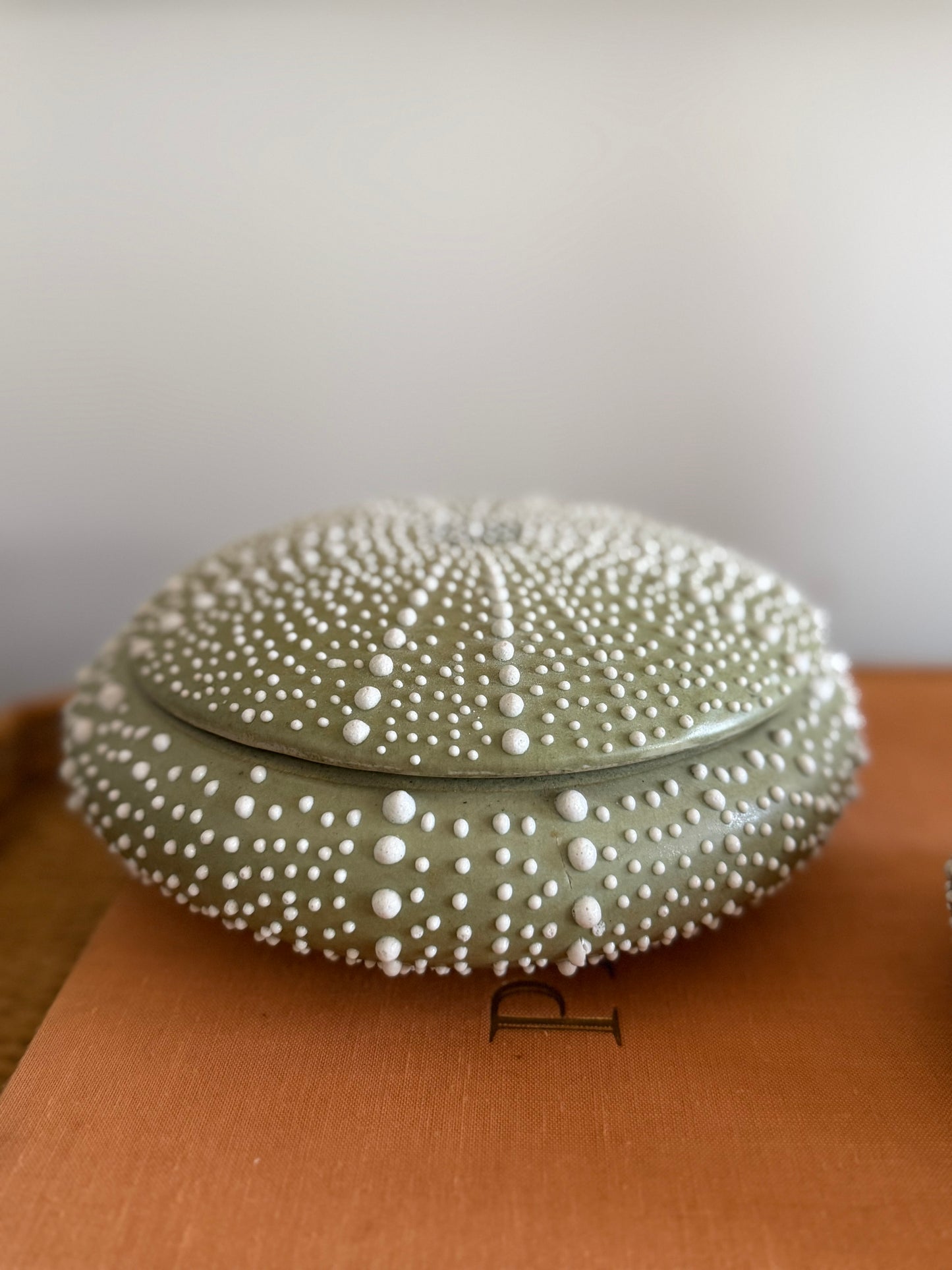 light green ceramic sea urchin lidded box