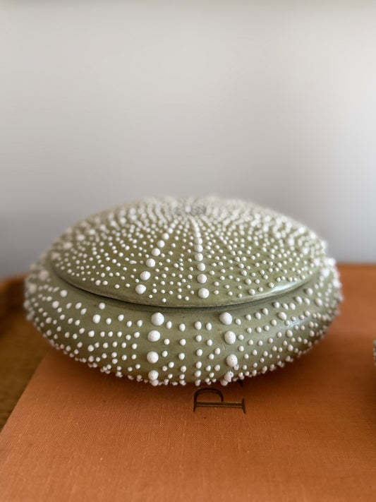 light green ceramic sea urchin lidded box