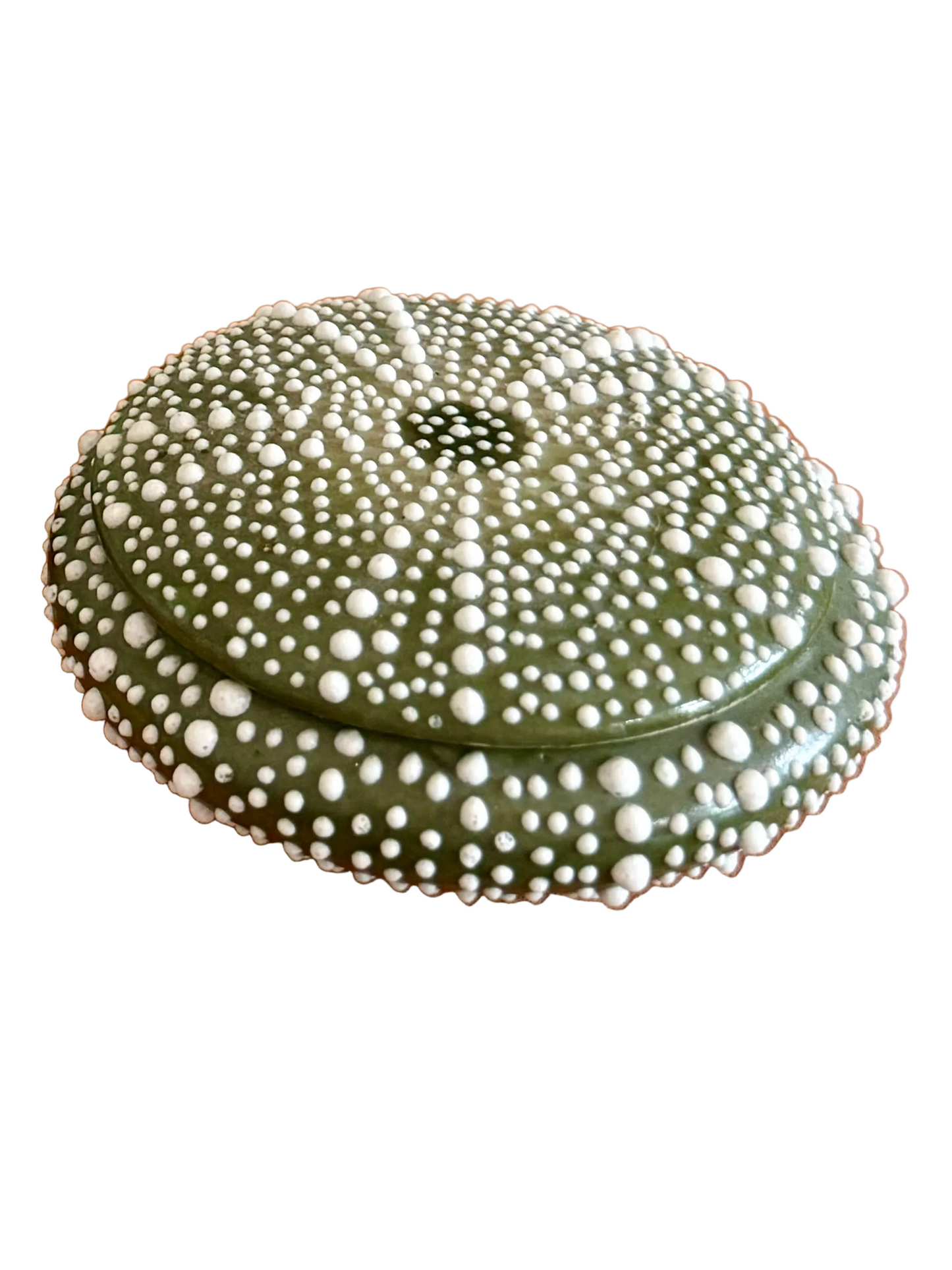 dark green ceramic sea urchin lidded box