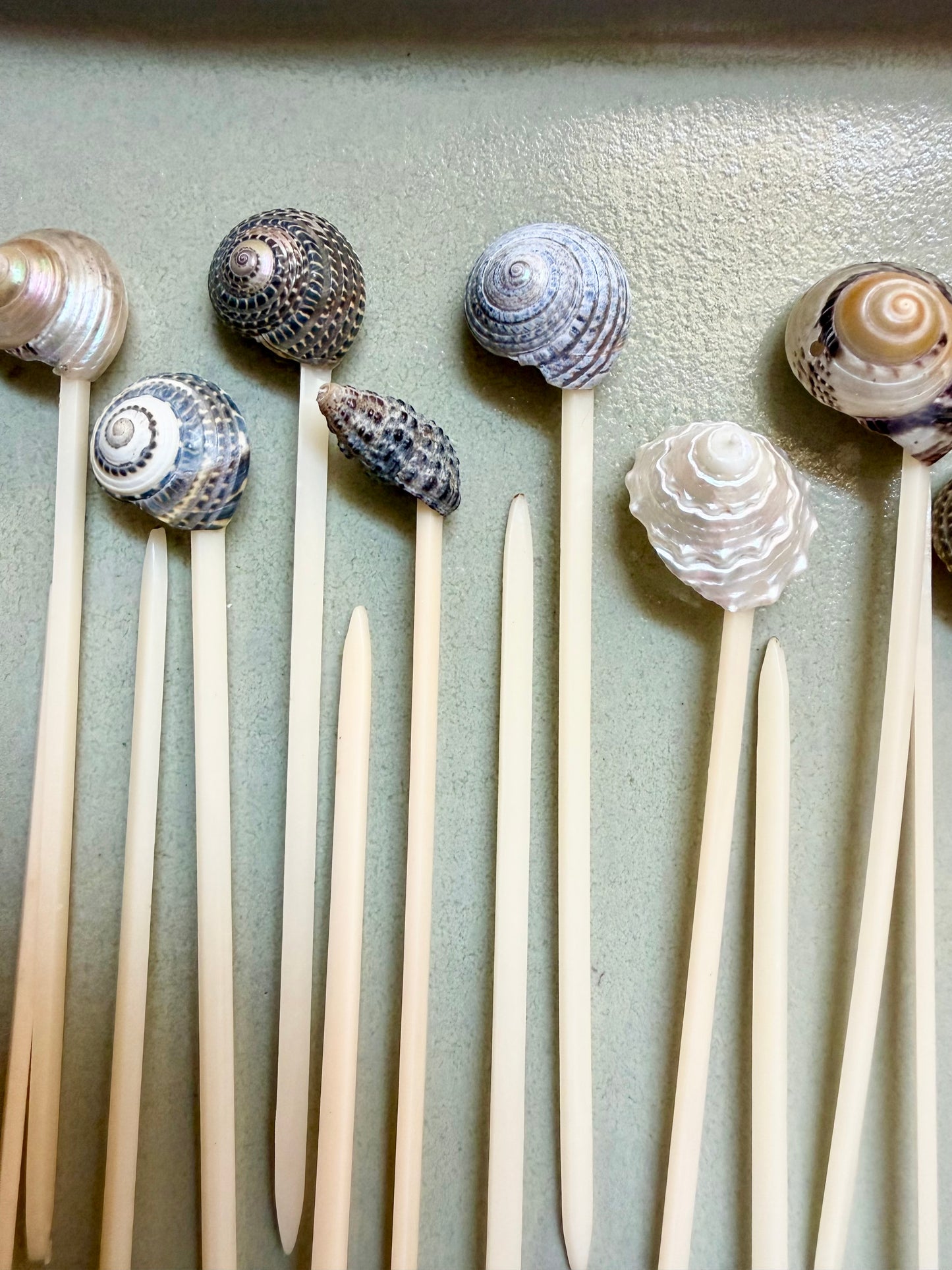 coastal seashell cocktail and appetizer picks