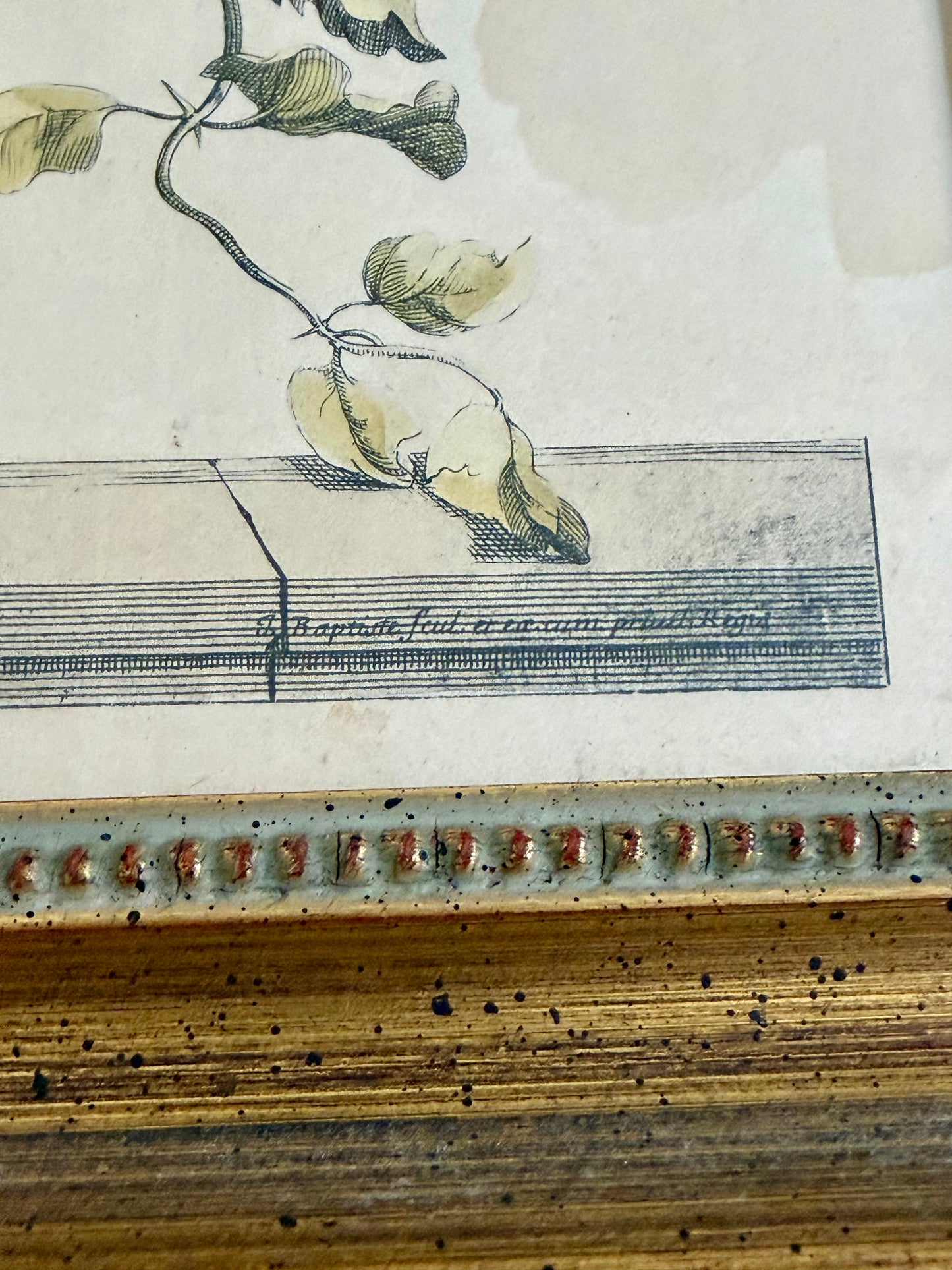 framed hand colored engraving of a floral arrangement attributed to Jean-Baptiste Monnoyer