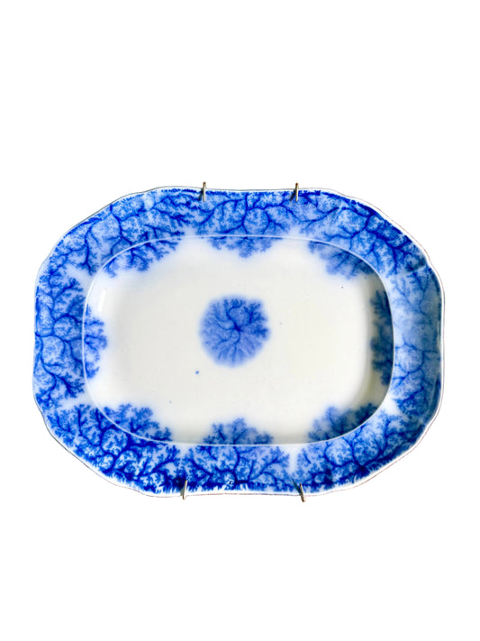 Rare 1884 Flow blue “Blue Coral” W.T. Copeland and Sons platter