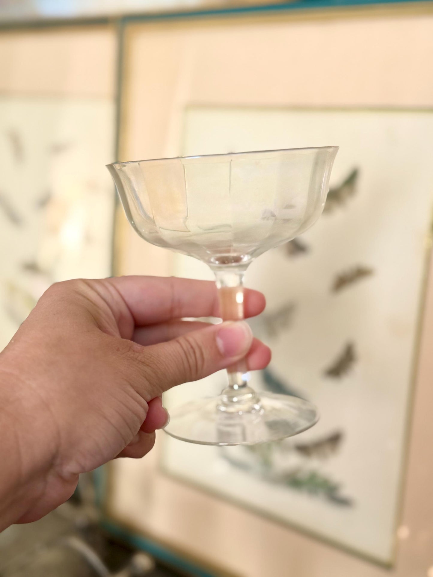 iridescent coupe glasses, set of 4